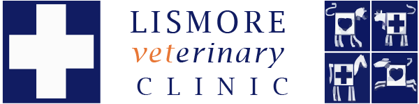 Lismore Vet Clinic 