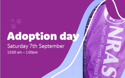 Adoption Day Saturday 07/09/24