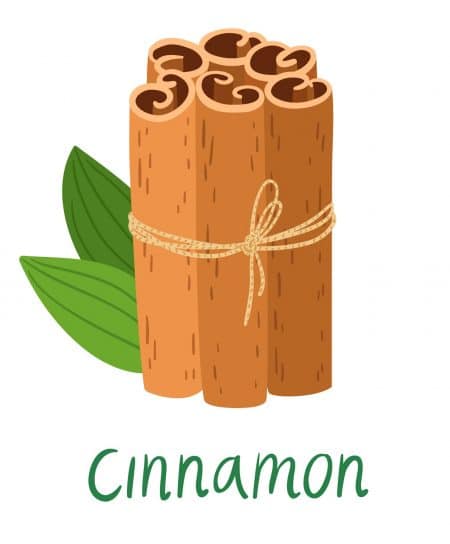 cinnamon