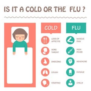 cold or flu flu and cold