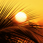 Essential oils and photo-sensitivity