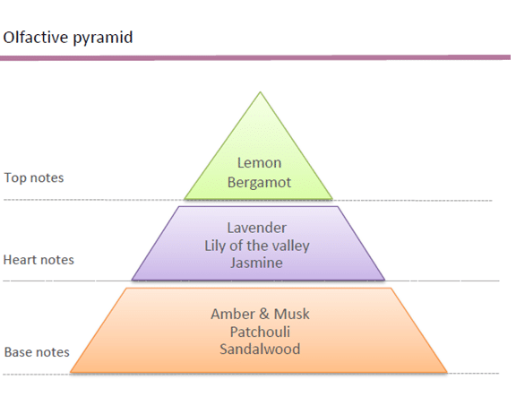 23349326029_8598178829-1 olfactory pyramid perfume