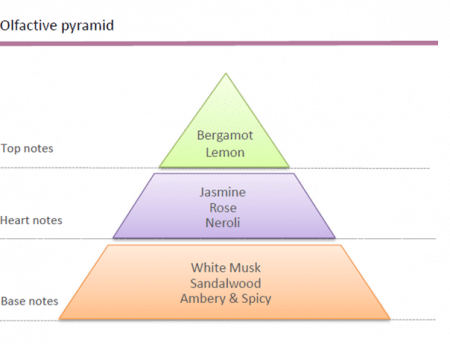 23378640013_8598128589-1 olfactory pyramid perfume