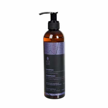 Shampoo – Lavandin