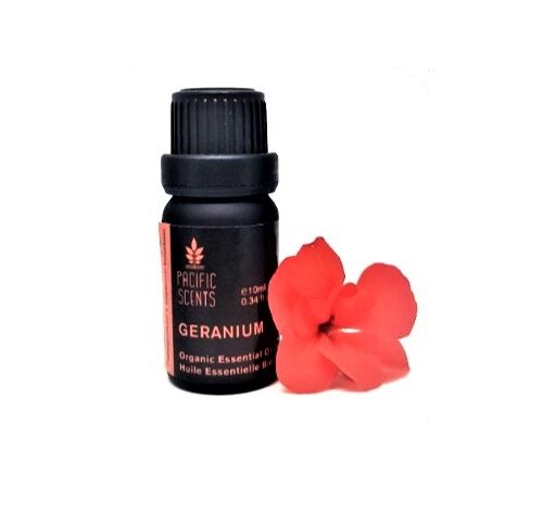 Geranium essential oil – Organic