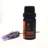 lavandin organic essential oil, essential oil australia