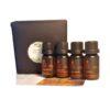lavandin, organic peppermint, tea tree, lemon, ESSENTIAL OIL PACK for hygienic home