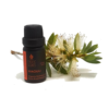 niaouli essential oil australia