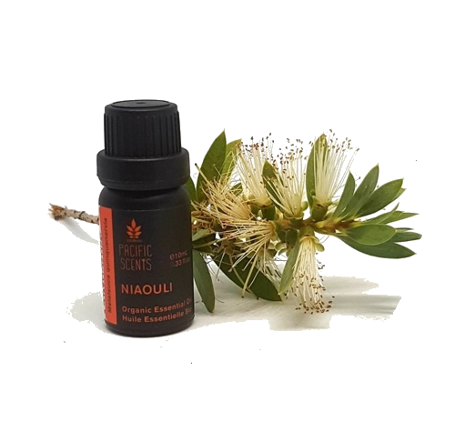 Niaouli essential oil – Organic