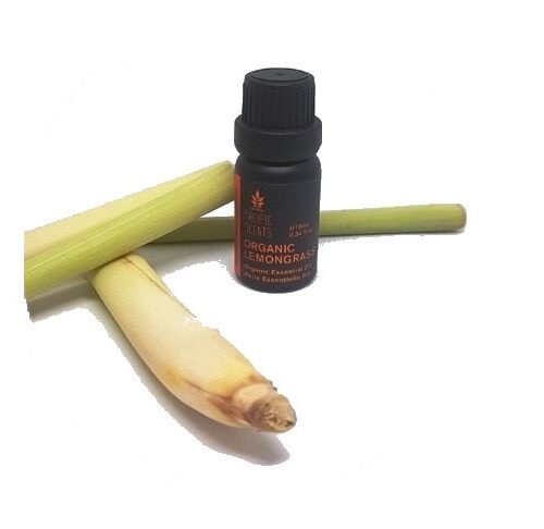 Lemongrass essential oil – Organic