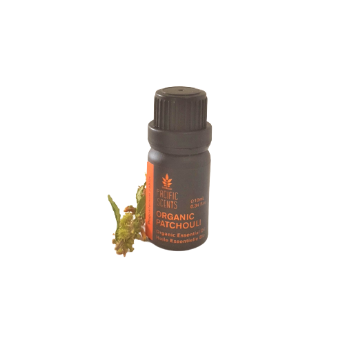 Patchouli essential oil – Organic