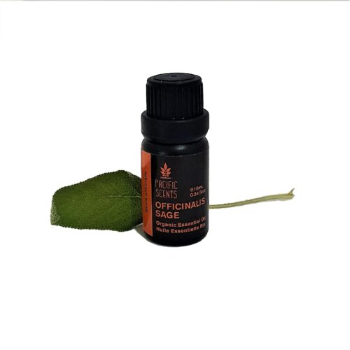 Sage (officinale) essential Oil – Organic