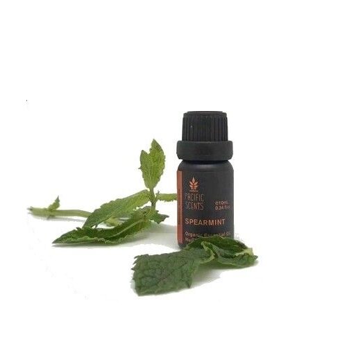 Mint (SpearMint) essential oil – Organic