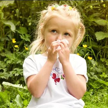 You are currently viewing Essential oils and blocked nose