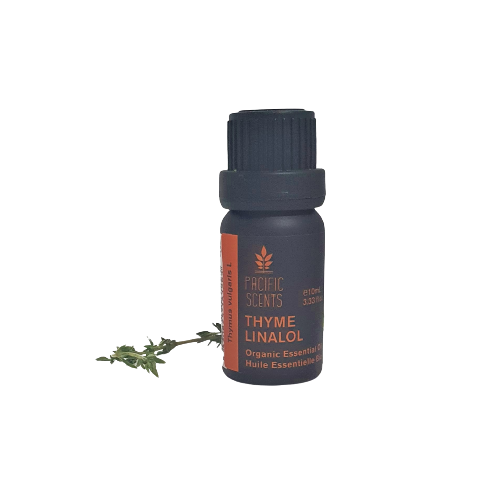 Thyme linalool essential Oil – Organic