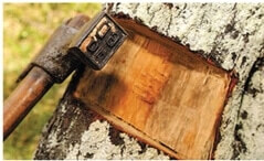 wood hammering