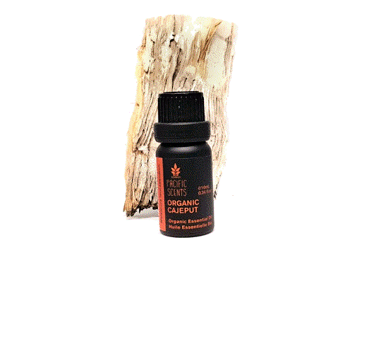 essential oil cajeput B organic essential oil cajeput, essential oil australia