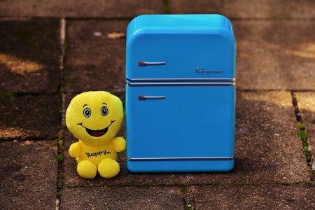 You are currently viewing Remove unwanted odours from your refrigerator in a natural way
