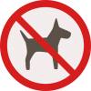 pet not allowed