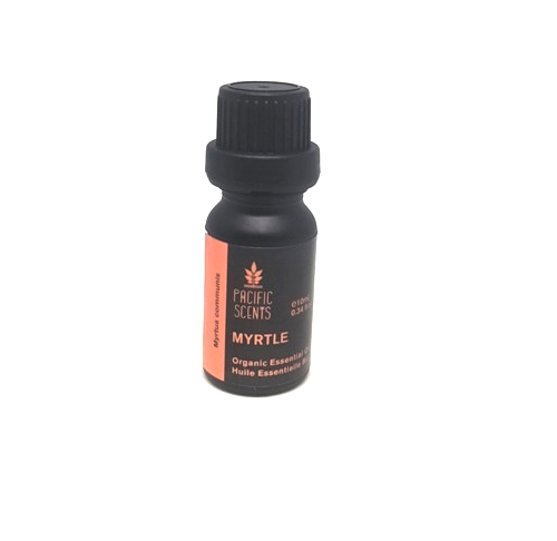 Myrtle (red) essential oil – Organic