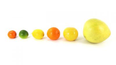 citrus