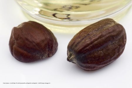 You are currently viewing Jojoba oil for your skin and your hair