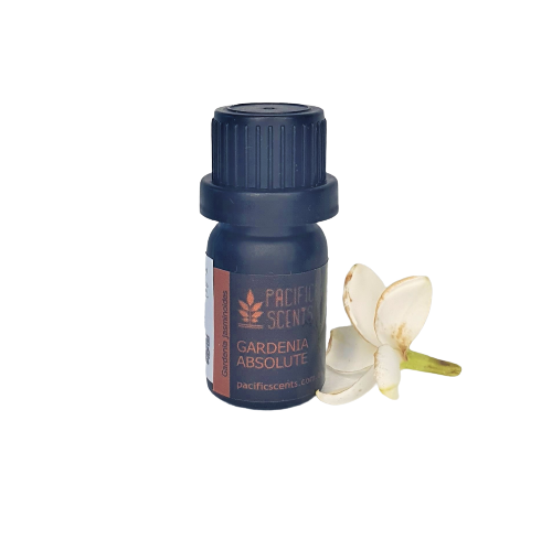 Gardenia absolute