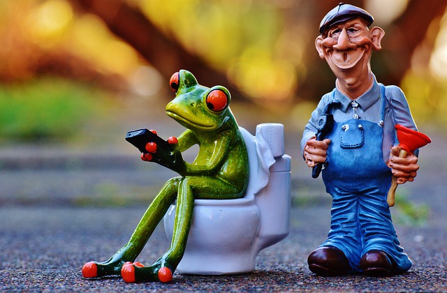 Read more about the article Essential oils for constipation