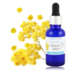 helicrysum elixir