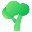 BROCCOLI ILLUSTRATION