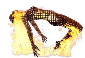 Read more about the article Anti-inflammatory essential oils: the complete file