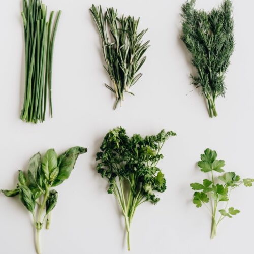 Aromatic herbs