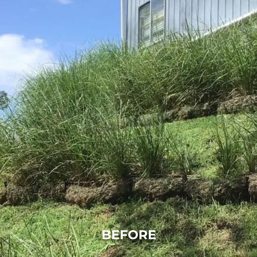 bank-stabilisation-before