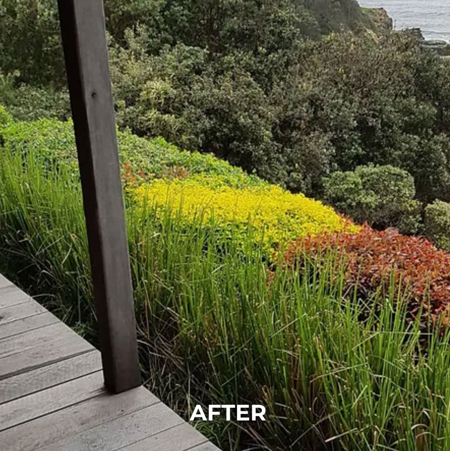 coastal-bank-stabilisation-after