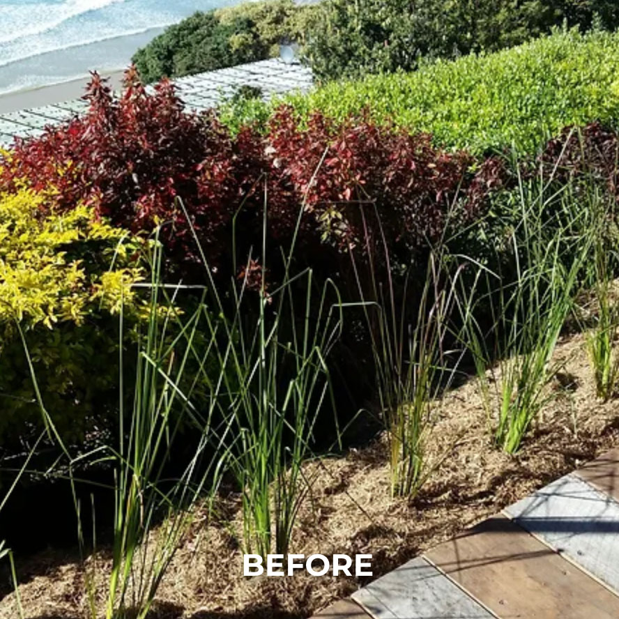 coastal-bank-stabilisation-before