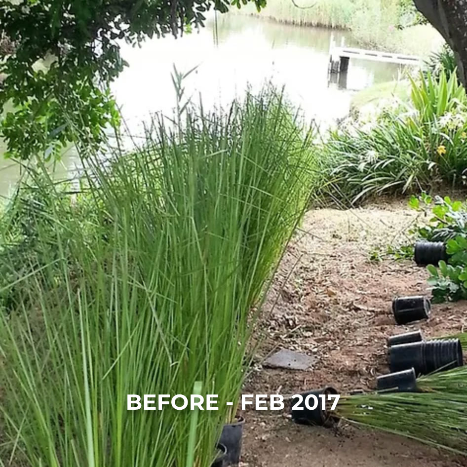 riverbank-stabilisation-before